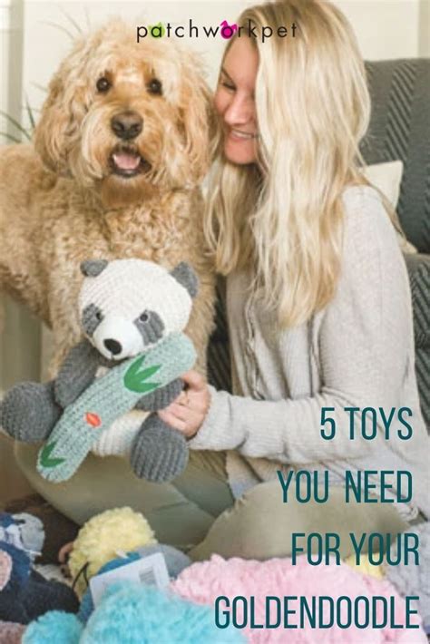 6 Best Dog Toys For Goldendoodles And Labradoodles Goldendoodle Dog