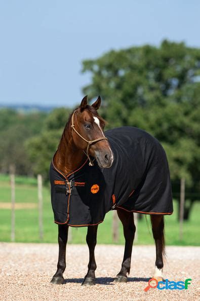 Horseware rambo ionic couverture ANIMAUX Décembre Clasf