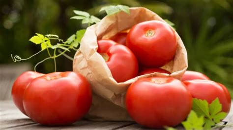 Tomato Price Could Reach Rs 300 Tomato Price May Go Upto Rs 300 Per Kg