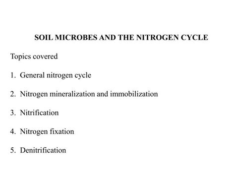 Ppt Soil Microbes And The Nitrogen Cycle Topics Covered 1 General