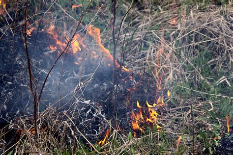 Quemas prescritas para mejorar la prevención de incendios