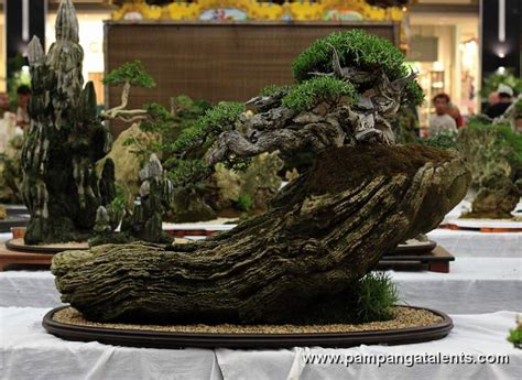 Penjing - Bantigue Bonsai