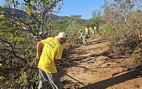 Pesquisa na Estação Ecológica da Serra das Araras investiga efeitos do