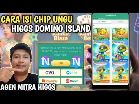 Cara Beli Chip Ungu Di Agen Mitra Higgs Domino Island Terbaru