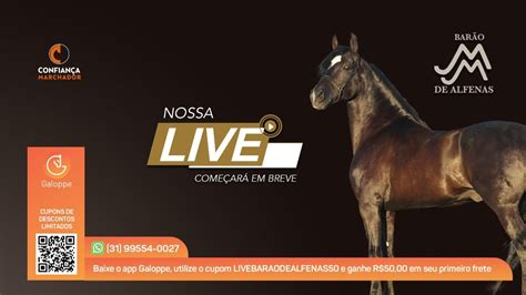 Live Haras Bar O De Alfenas Youtube