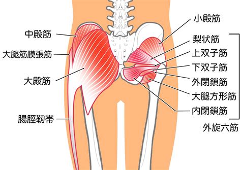 ヒップアップしたいなら【筋トレよりもほぐし】ガチガチのお尻がふわふわ美尻に変わる「薪のポーズ」 ヨガジャーナルオンライン