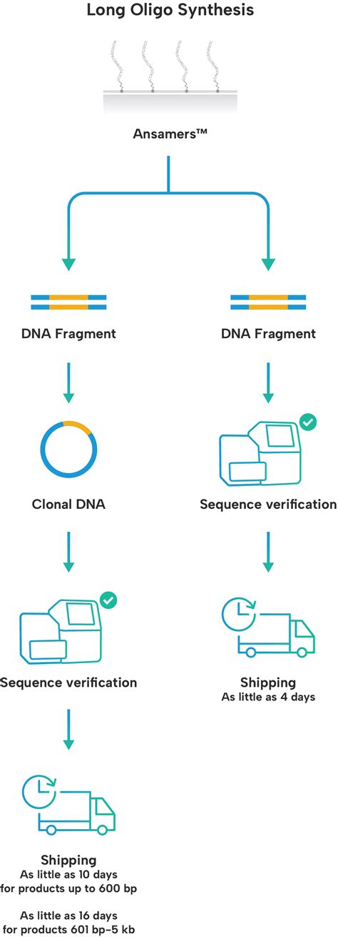 Technology Ansa Biotechnologies