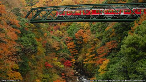 Autumn Train 1920x1080 Wallpapers - Wallpaper Cave