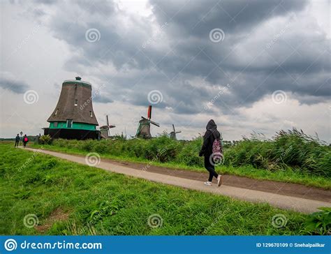 Traditional Dutch Windmills And Houses Near The Canal In Zaanse Schans