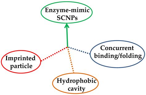 Nanomaterials Free Full Text Advances In Single Chain Nanoparticles For Catalysis Applications