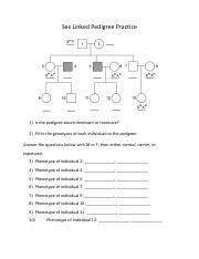 X Linked Pedigree Ws Pdf Sex Linked Pedigree Practice Is The Pedigree Above Dominant Or