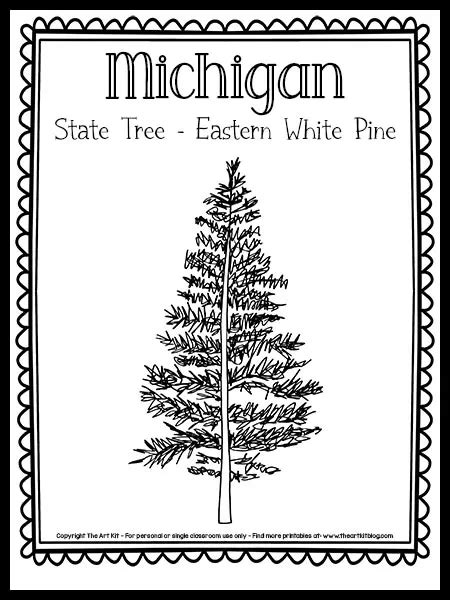 Michigan State Tree Coloring Page (Eastern White Pine) {FREE Printable ...