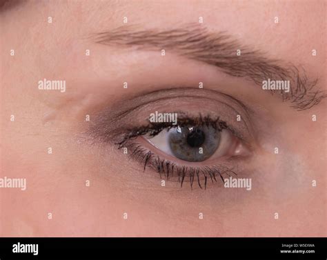 Cicatrix Scar High Resolution Stock Photography and Images - Alamy