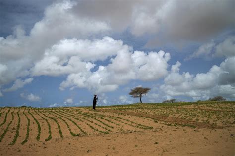 Millennium Villages Project (2015) - The VII Foundation