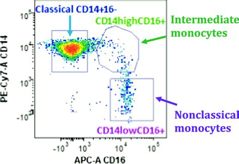 Cd Markers Flow Cytometry