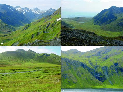 Major habitat types of Attu Island: A-view from eastern Attu Island of ...