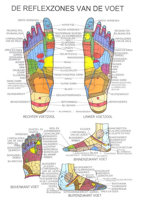 Voetzonereflex Therapie Reflexologie Voetreflexologie Holistische