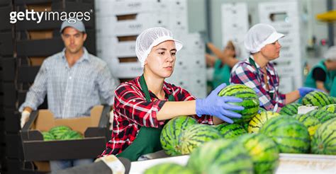 Women Working In Vegetable Processing Factory Controlling Process Of