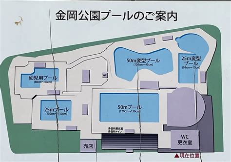 【堺市北区】2022年は、『金岡公園プール』は営業されるのでしょうか？！ 号外net 堺市北区・東区・美原区