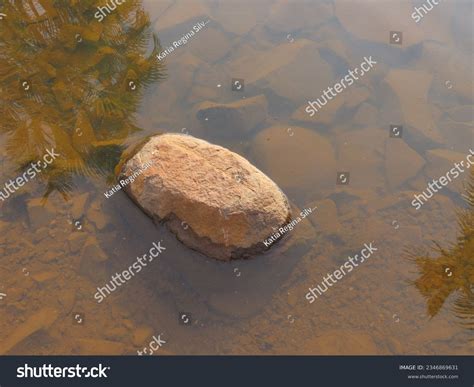 67 Bigger Bottoms Images, Stock Photos & Vectors | Shutterstock