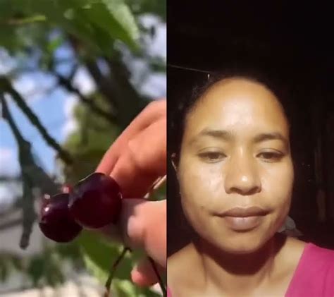 Keluarga Bahagia Jerman Petik Buah Seruuu Fruit Food Buah