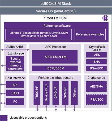 TRoot Fx HSM Programmable Root Of Trust Synopsys