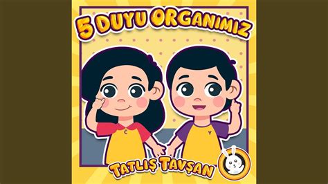 5 Duyu Organımız YouTube