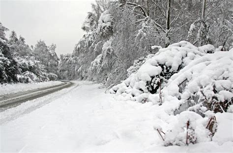 Neve Do Inverno E Uma Estrada Que Atravessa A Floresta Imagem De Stock