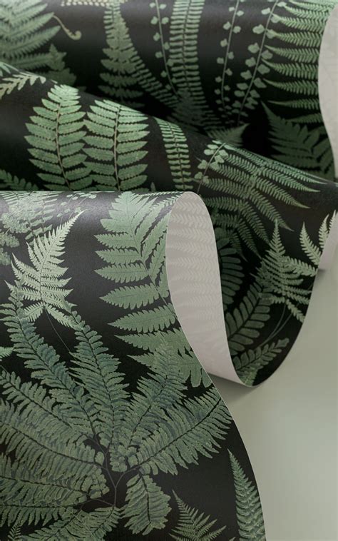 a black and green wallpaper with fern leaves on it's back side, next to ...