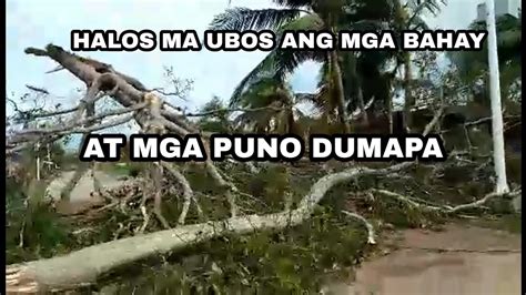 Actual Footage And Aftermath Typhoon Odette TAPAL UBAY BOHOL YouTube