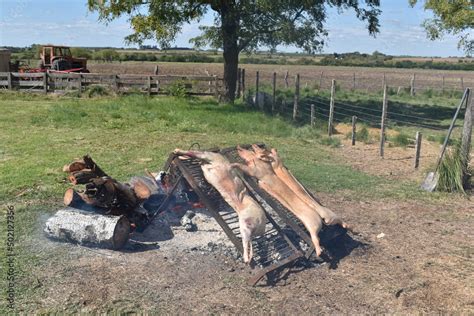 Lech N Y Cordero Asado A La Estaca En El Campo Stock Photo Adobe Stock