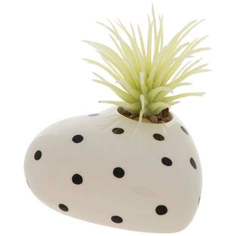 Succulent In Dotted Heart Pot Hobby Lobby 2241545