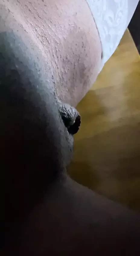 Sexy Stockings American Porn XHamster