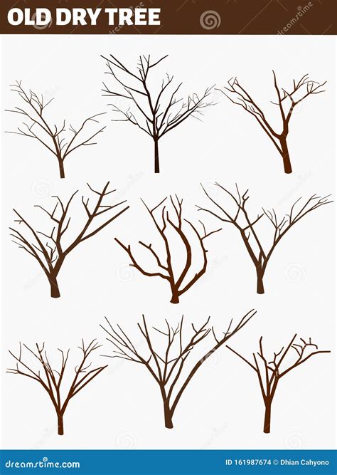 Naked Trees Silhouettes Set Old Various Dry Trees Stock Illustration Illustration Of Shade