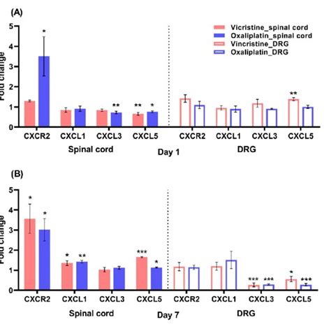 A Real Time Quantitative Pcr Results Showing Mrna Expression Levels