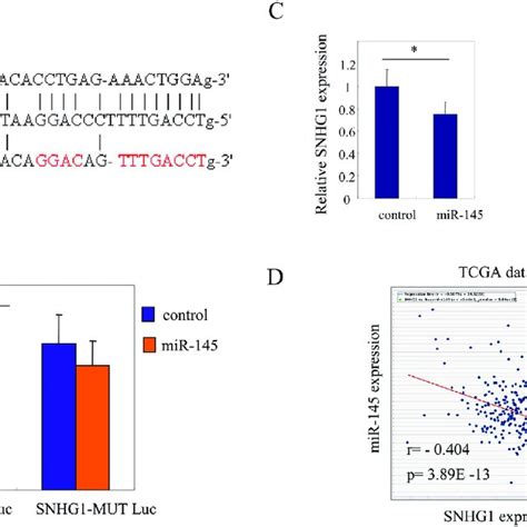 Snhg Functions As A Sponge Of Mir In Colorectal Cancer Cells A