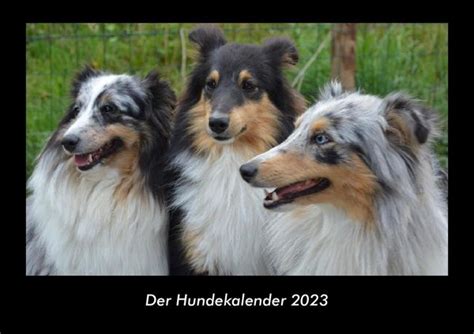 Tobias Becker Der Hundekalender Fotokalender Din A Kalender Jpc