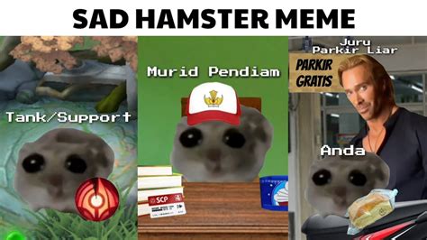 Sad Hamster Meme Moment Youtube