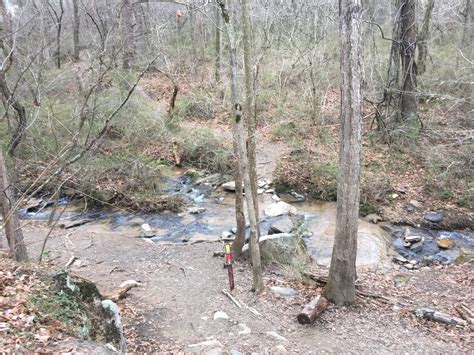 Best Trails in Richmond Hill Park - North Carolina | AllTrails