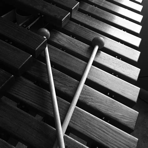 xylophone composition call