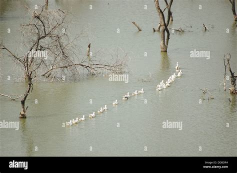 Hauz Khas Village Fotografías E Imágenes De Alta Resolución Alamy