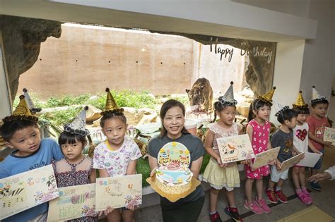 新竹動物園雙胞胎虎兄虎弟過生日 15歲慶生趴大啖「冰肉蛋糕」 Ettoday地方新聞 Ettoday新聞雲