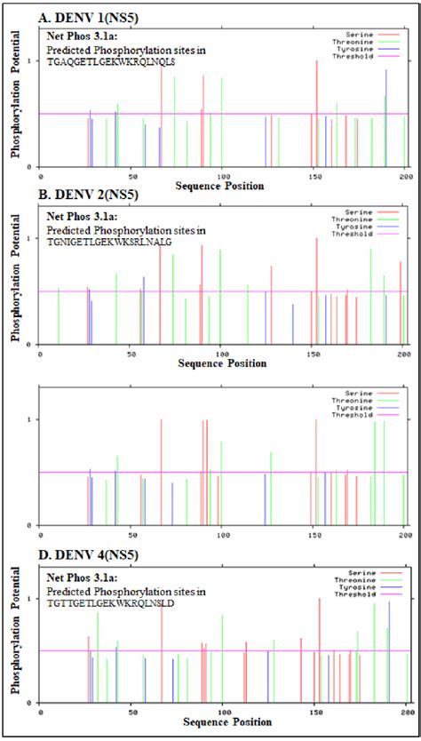 A D The Detailed Appearance Of The Phosphorylation Potential