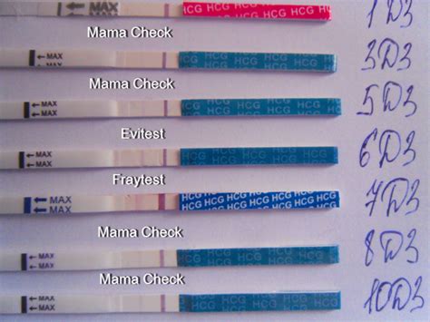 Тест При Внематочной Беременности Фото — Bluemorphotours.ru