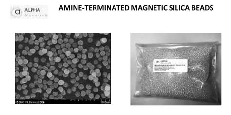 Ppt Amine Terminated Magnetic Silica Beads Powerpoint Presentation Free Download Id 11973350