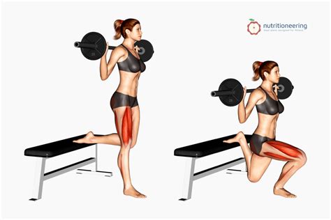 8 Bulgarian Split Squat Variations For Targeting Glutes Quads