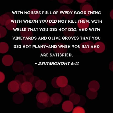 Deuteronomy 6 11 With Houses Full Of Every Good Thing With Which You