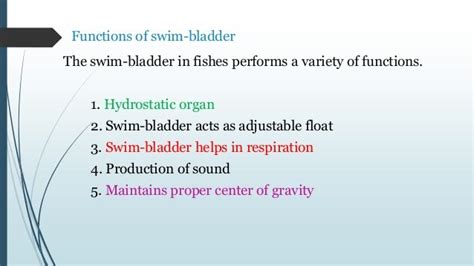 Current Smart Quiz: What Is The Function Of The Swim Bladder