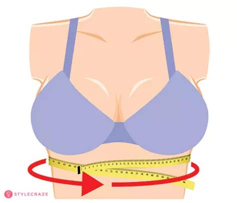 Bra Size Calculator In Cm How To Measure Bra Size Chart