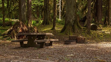 Sol Duc Campground (U.S. National Park Service)